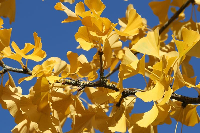 Thomas von Stosch DiplomPsychologe Kontakt